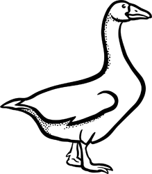 Gans